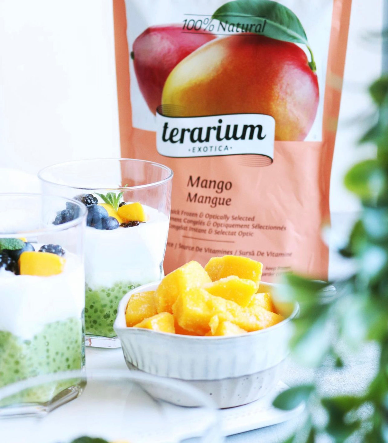 Budincă de Tapioca cu Matcha, Iaurt și Fructe