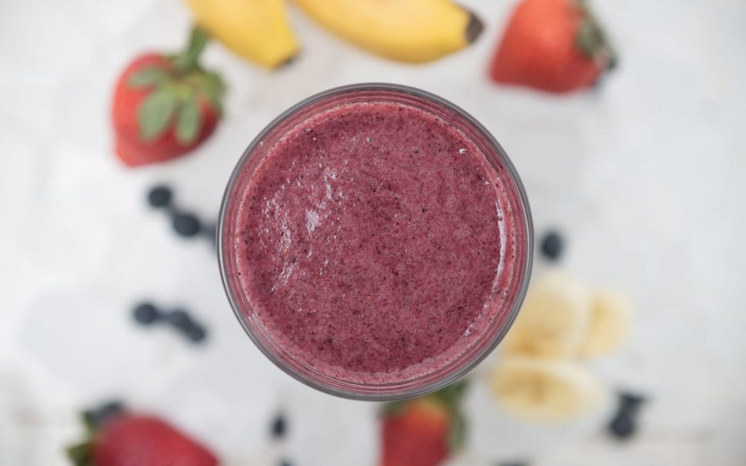 terarium smoothie mix blueberry energy