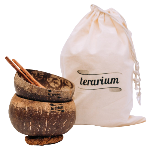 Accesorii Eco-Friendly