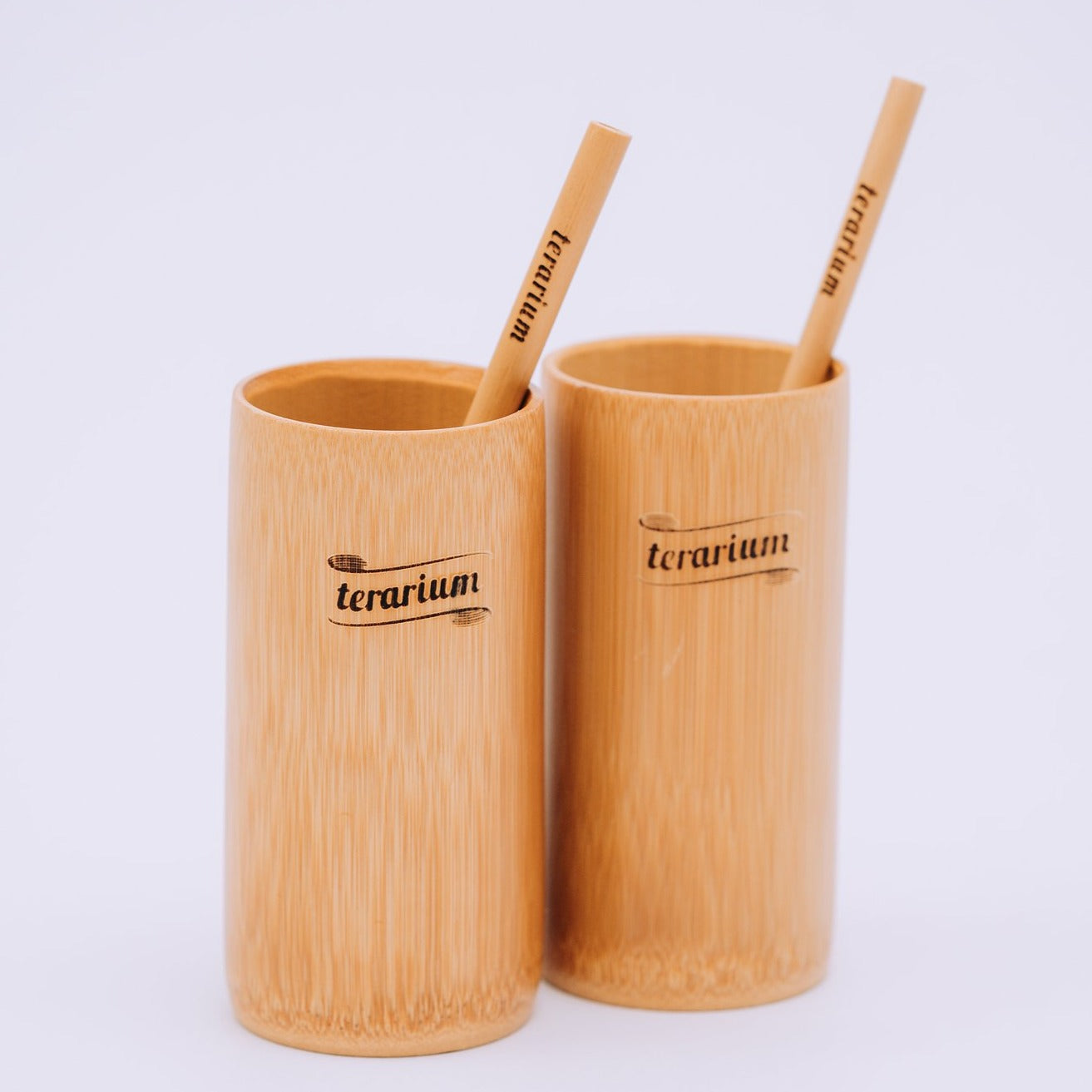 Set Terarium® 2 pahare cu 2 paie din bambus - 500ml