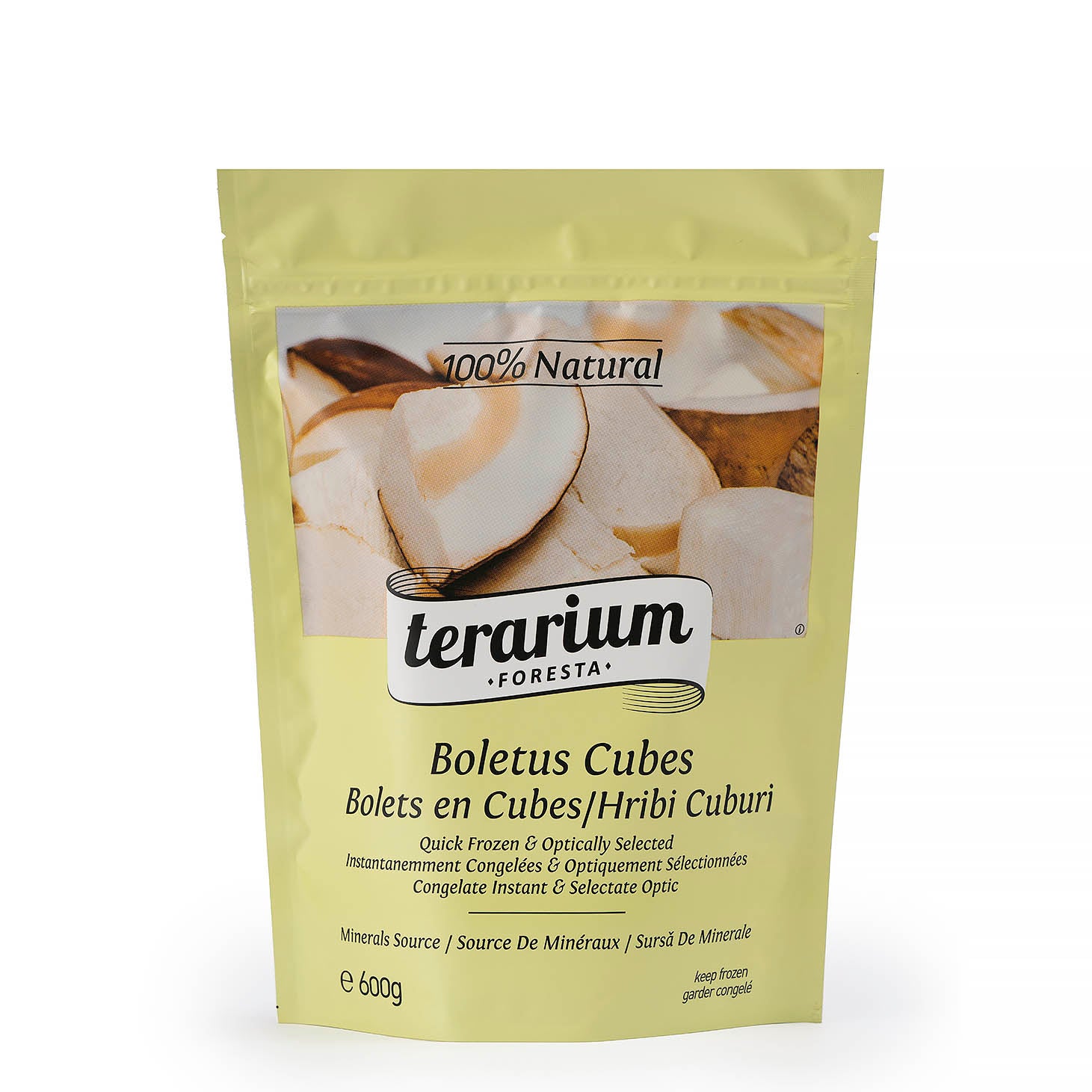 TERARIUM FORESTA HRIBI CUBURI ECO 600GR