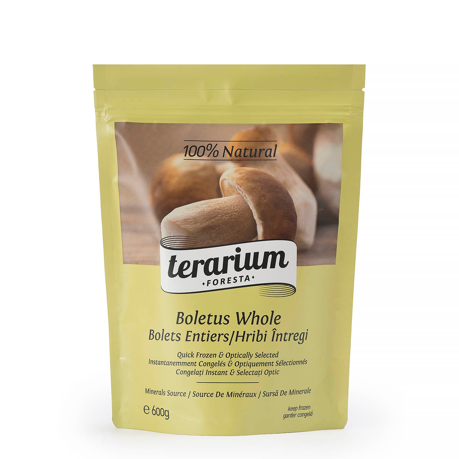 TERARIUM FORESTA HRIBI INTREGI  600G